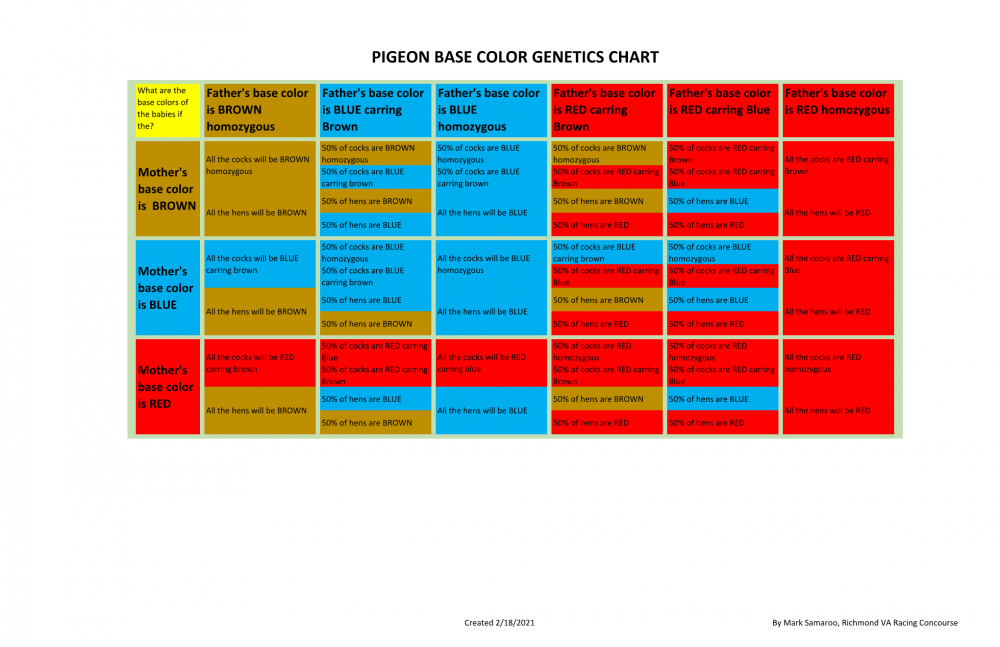 Pigeon Base Color Genetics Chart