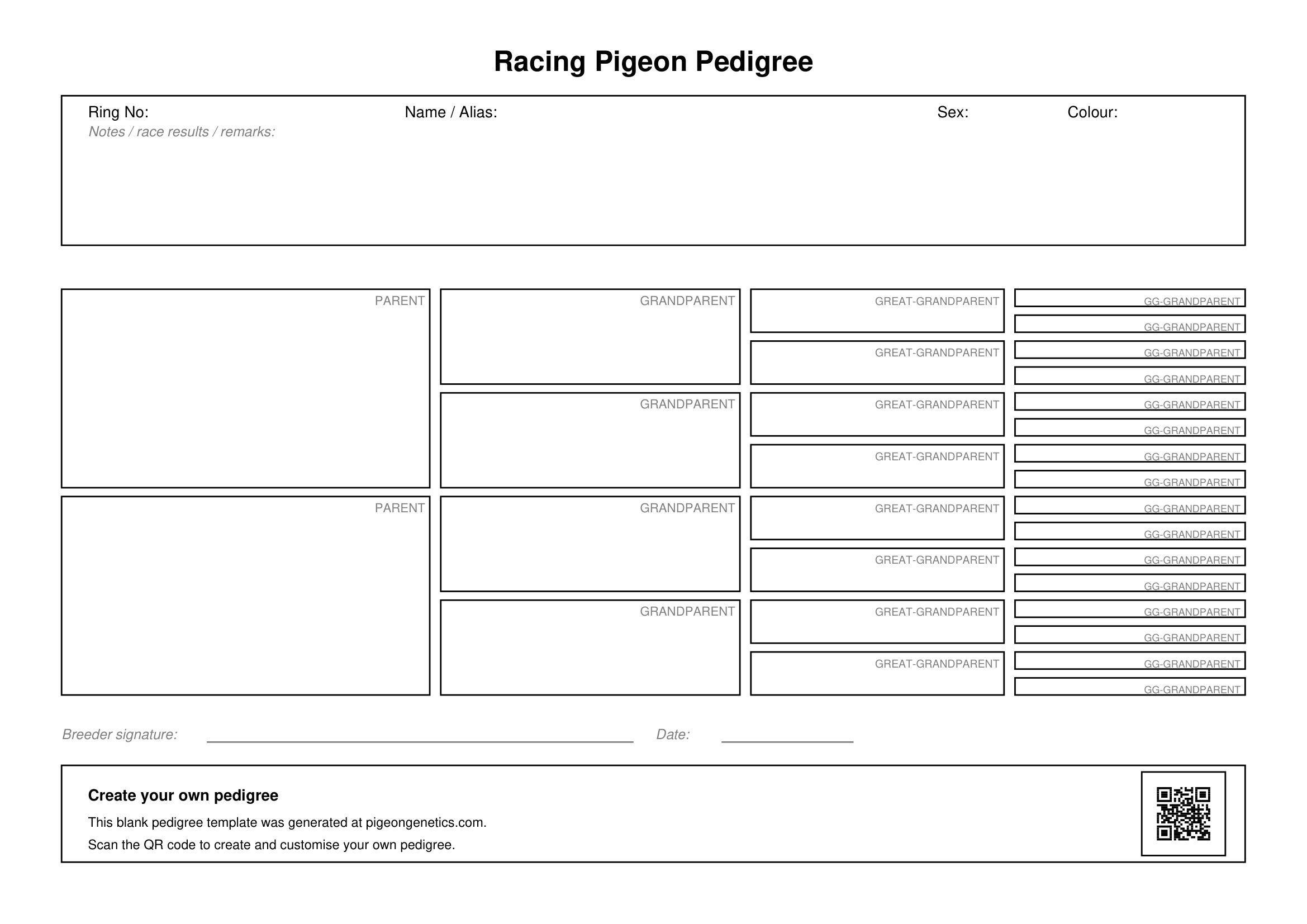 Pigeon Pedigree Template Landscape Free